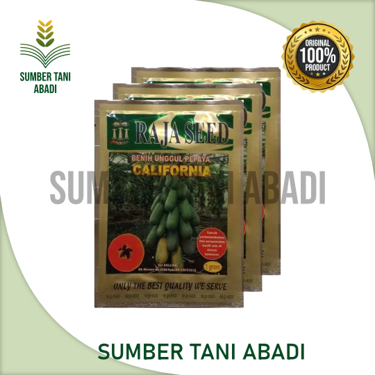 bibit pepaya CALIFORNIA 1GR - RAJA SEED