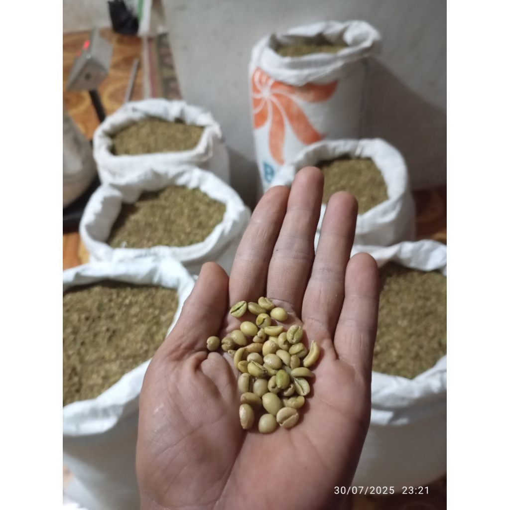 

Kopi Nangka Exselsa Manado 1 Kg Has Lereng Gunung Argopuro Rasa wangi/Harum