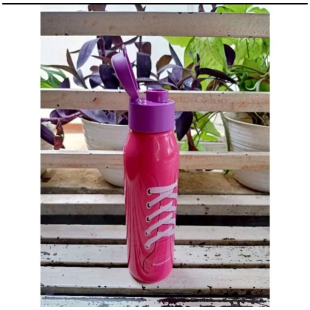 Eco bottle fancy 500ml tutup flip