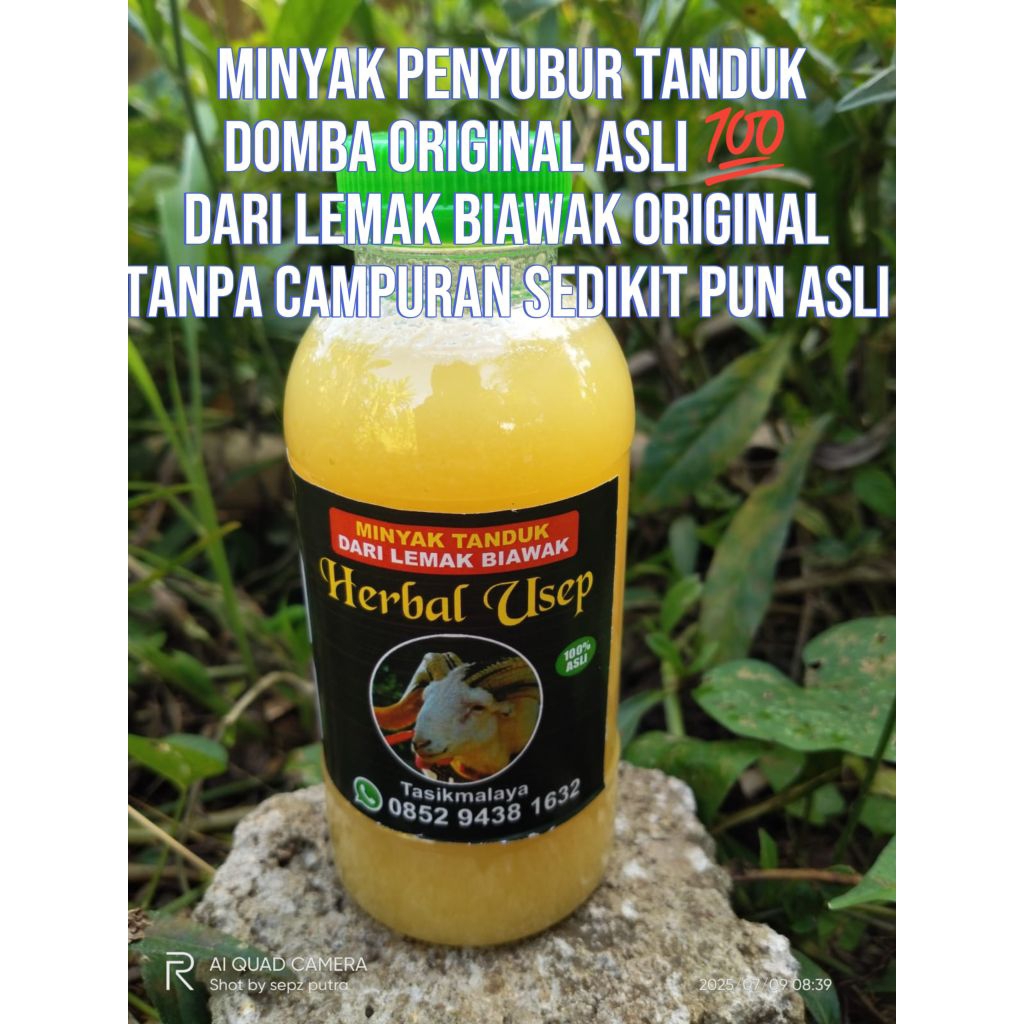 

minyaktandukdombaoriginal200ml