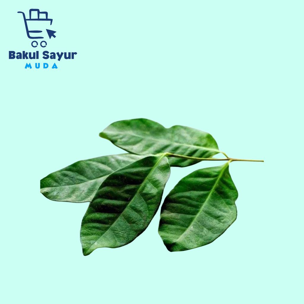 

Daun Salam Segar 50 Gram