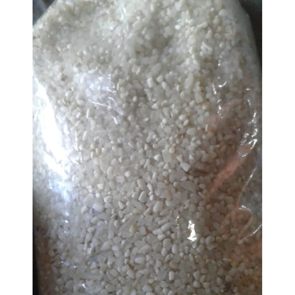 

beras menir untuk pakan