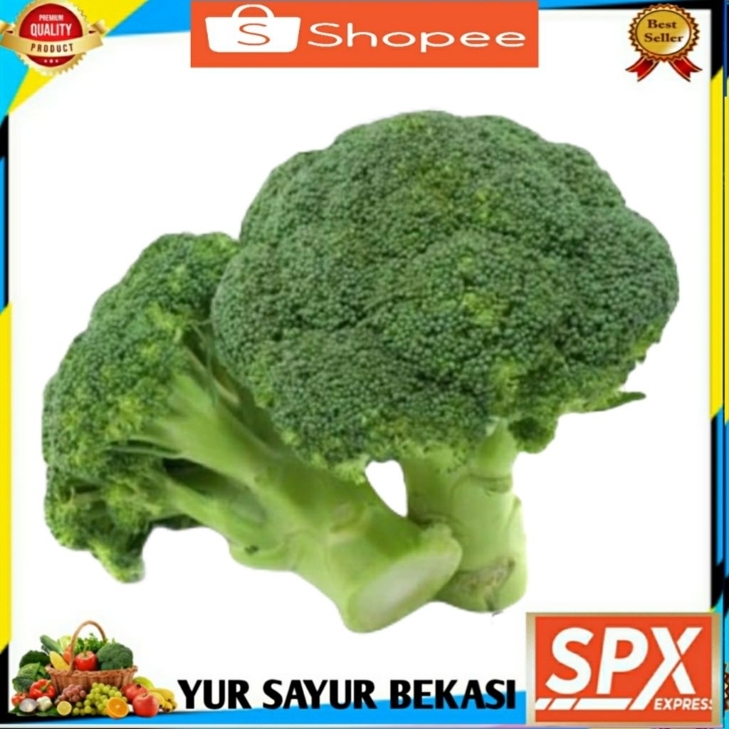 

Brokoli Segar 300gr.