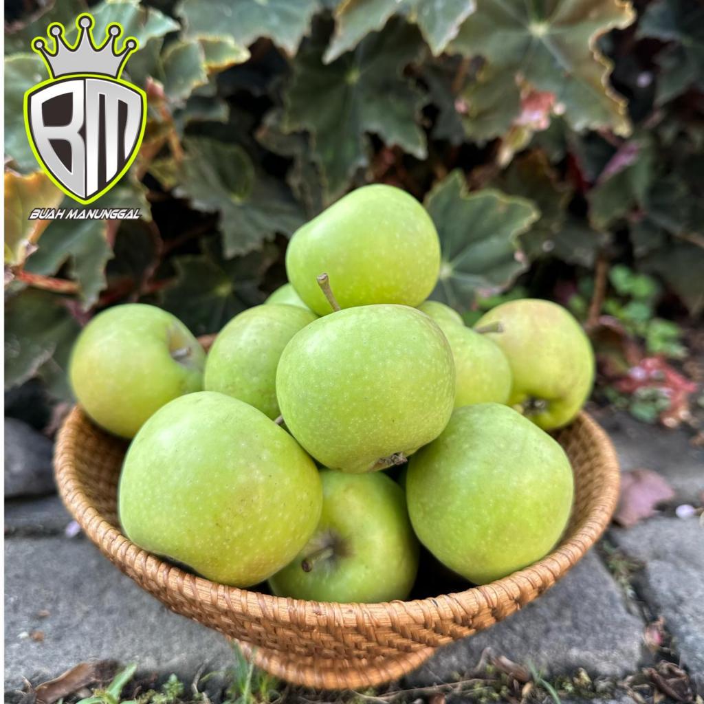 

Apel Manalagi Ukuran 18-22 1kg /Apel Malang/Apel Batu/ Apel fresh Batu/Apel Manis/oleh-oleh khas Batu