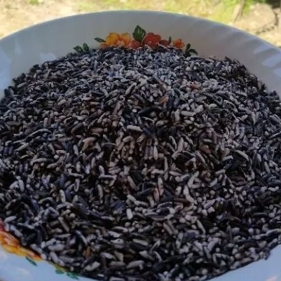 

Beras Ketan Hitam Lokal/Kampung, Beras Pulut Hitam Entikong Kal-Bar (Produk Beras Paguh) Beras Baru 2025