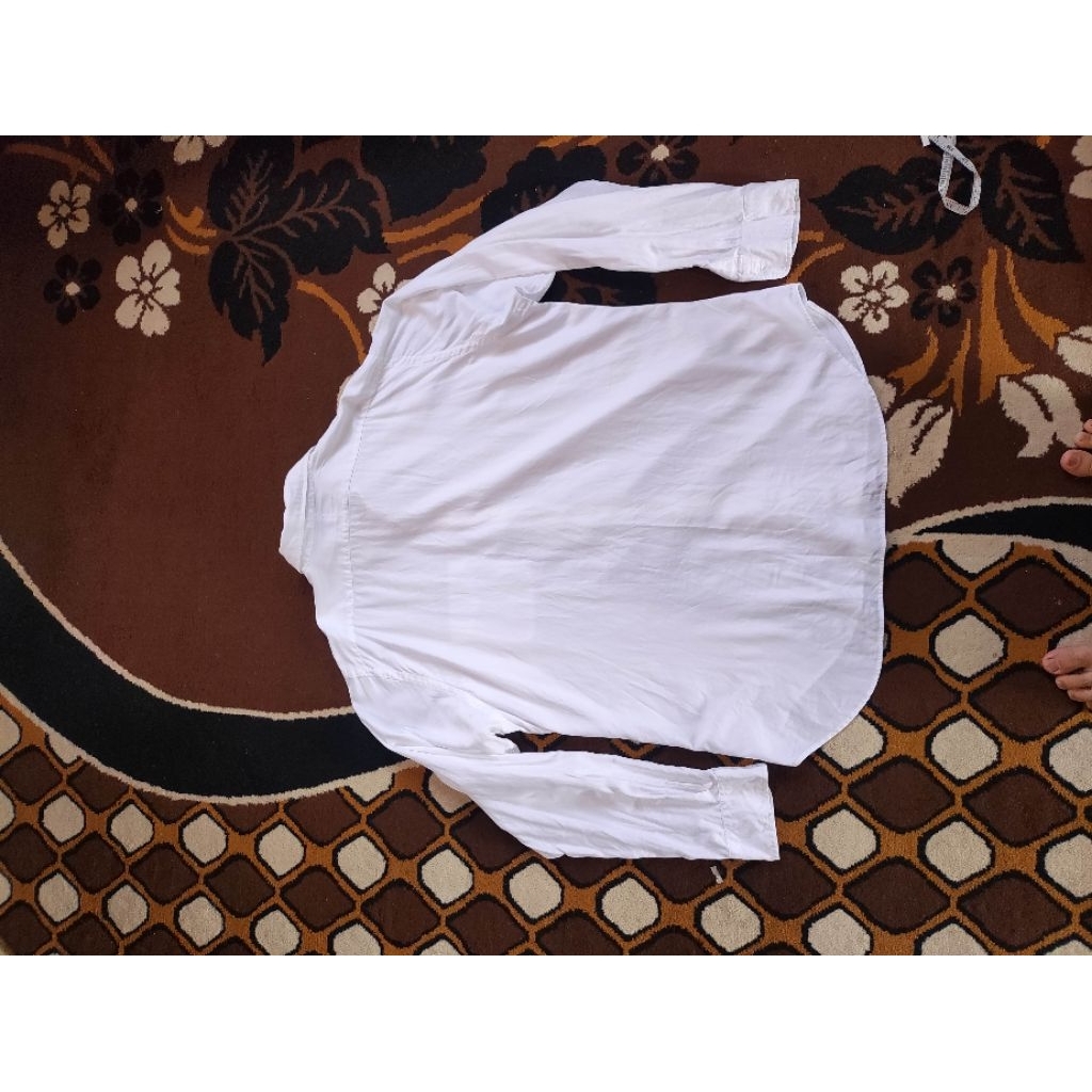 kemeja putih polo Ralph Lauren