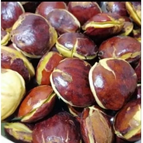 

jengkol Jepara 250gr