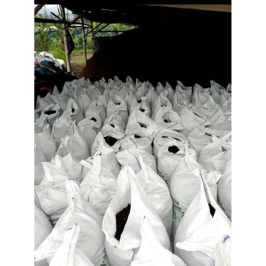 pupuk organik kohe sapi