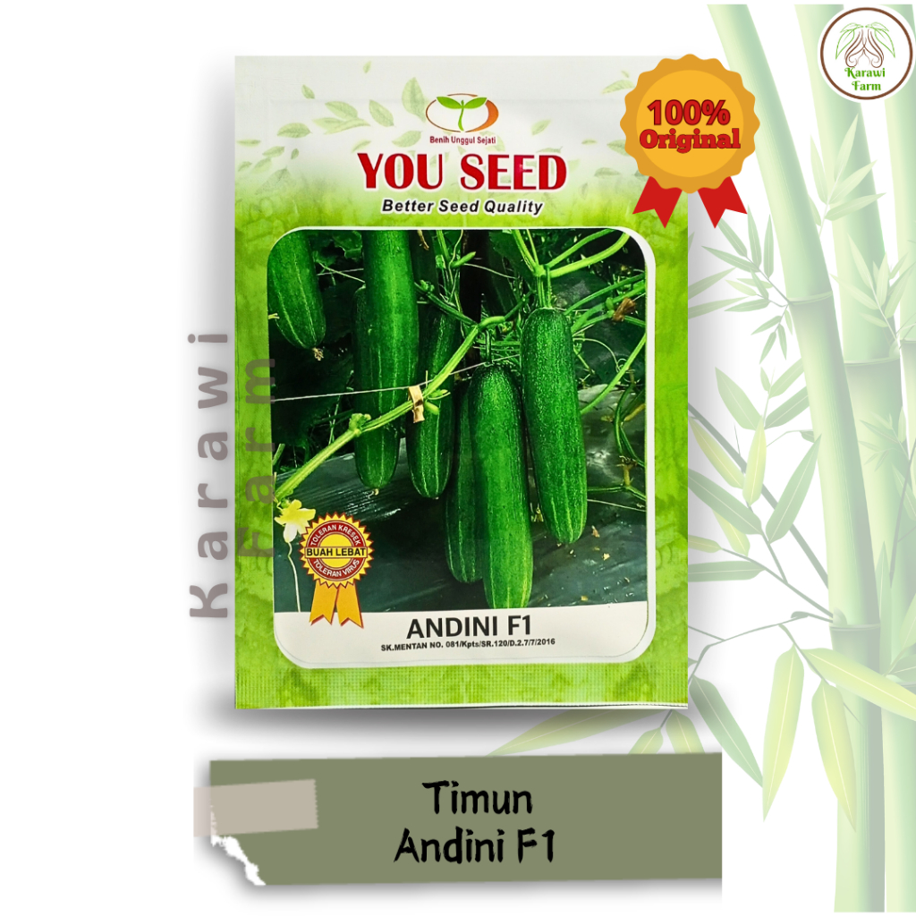 Benih Timun Andini F1 Bibit Unggulan You Seed