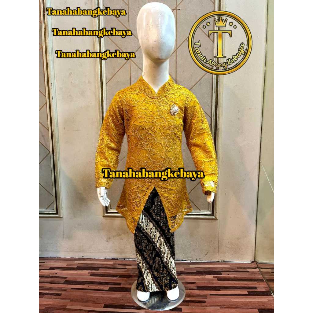 Baju kebaya anak janggan modern wisuda kartini acara spesial 2025 varian warna gold