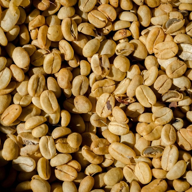 

GREEN BEAN BIJI KOPI ARABIKA PALASARI FULL WASH GRADE 1 - 1 KG