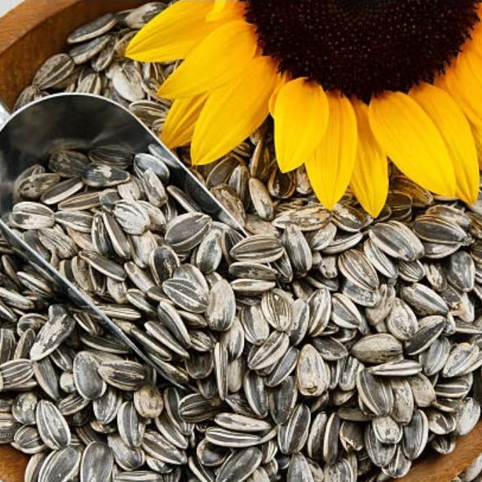 

1kg kuaci mentah / cemilan biji bunga matahari / makanan ringan snack / kuaci mentah super enak lezat & bergizi