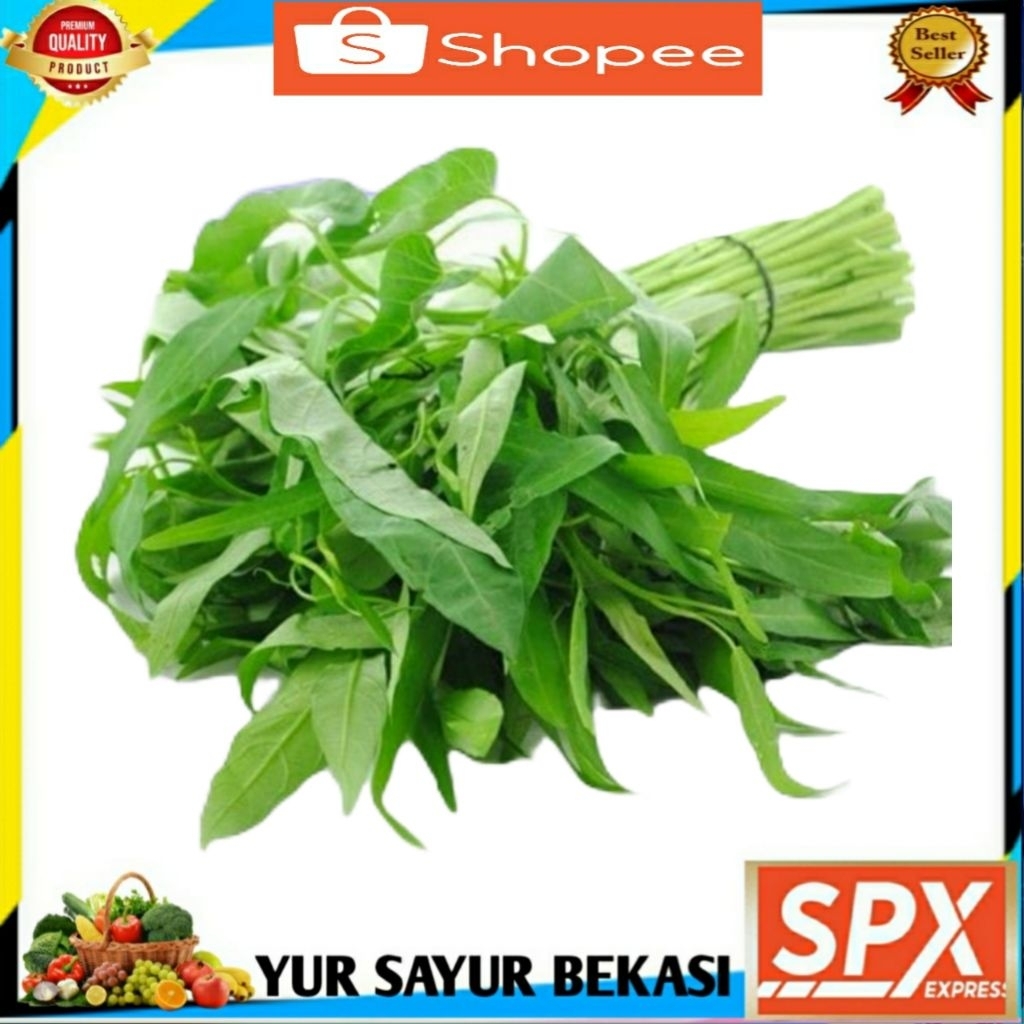 

Kangkung Segar/Sayur Kangkung 3 ikat.