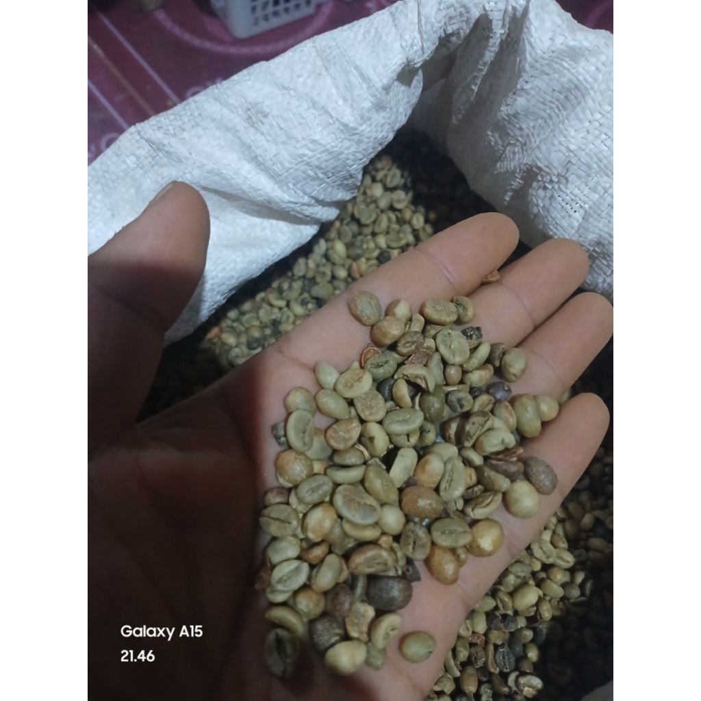 

KOPI RUBUSTA/MURAH,BERSIH DAN HARUM