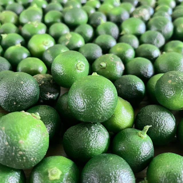 

Jeruk sonkit termurah/Jeruk kasturi/Jeruk kunci/Lemon cui/Jeruk kalamansi buah segar 500gram