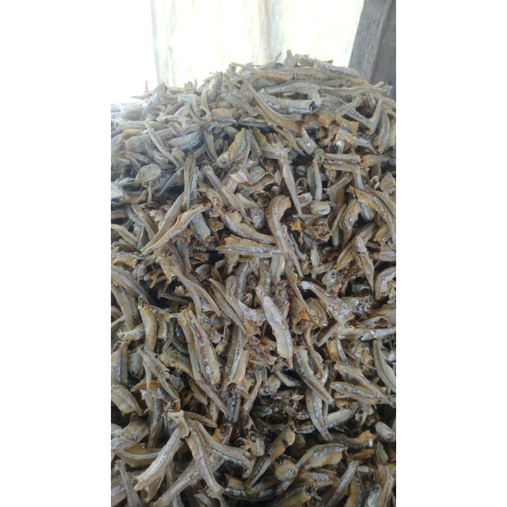 

Teri kacang Medan/Teri kacang segar langsung dari pengeringan