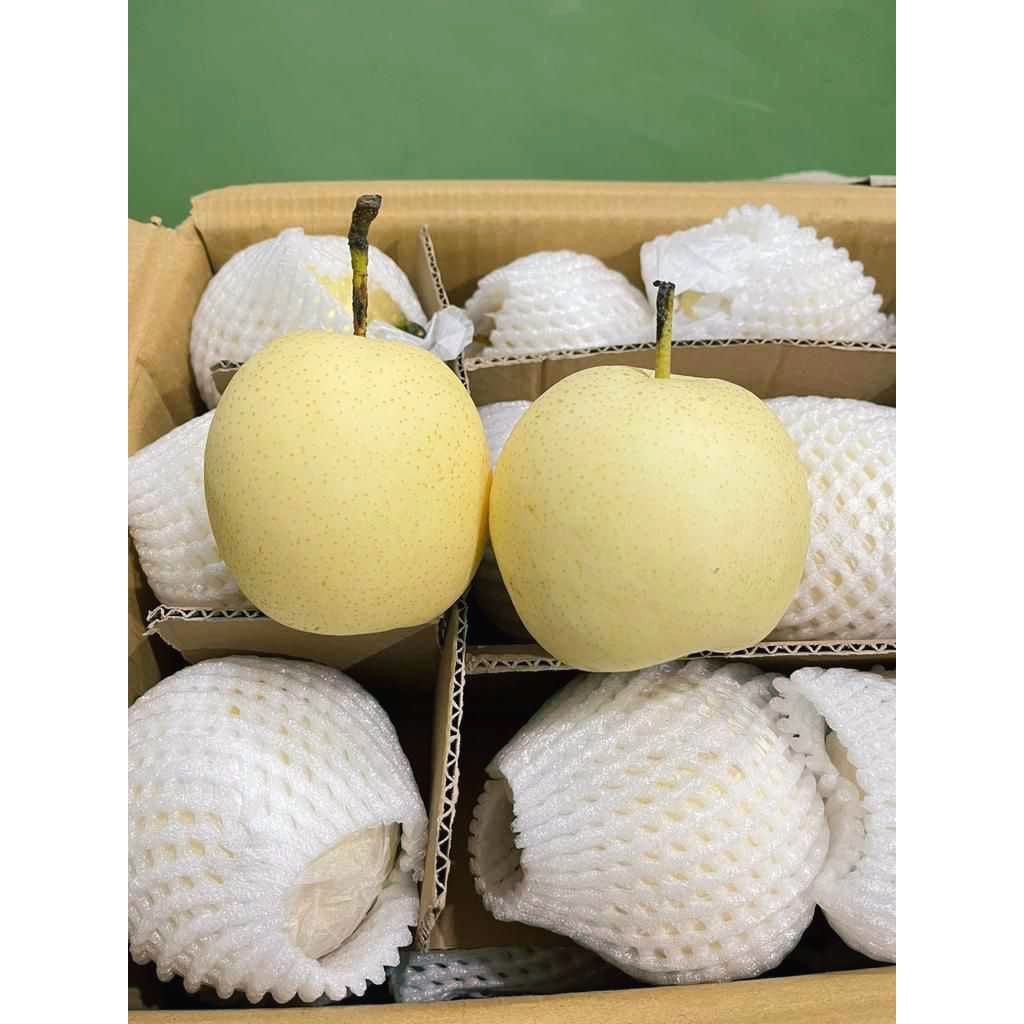 

Buah pir Century fresh 1kg termurah berkualitas