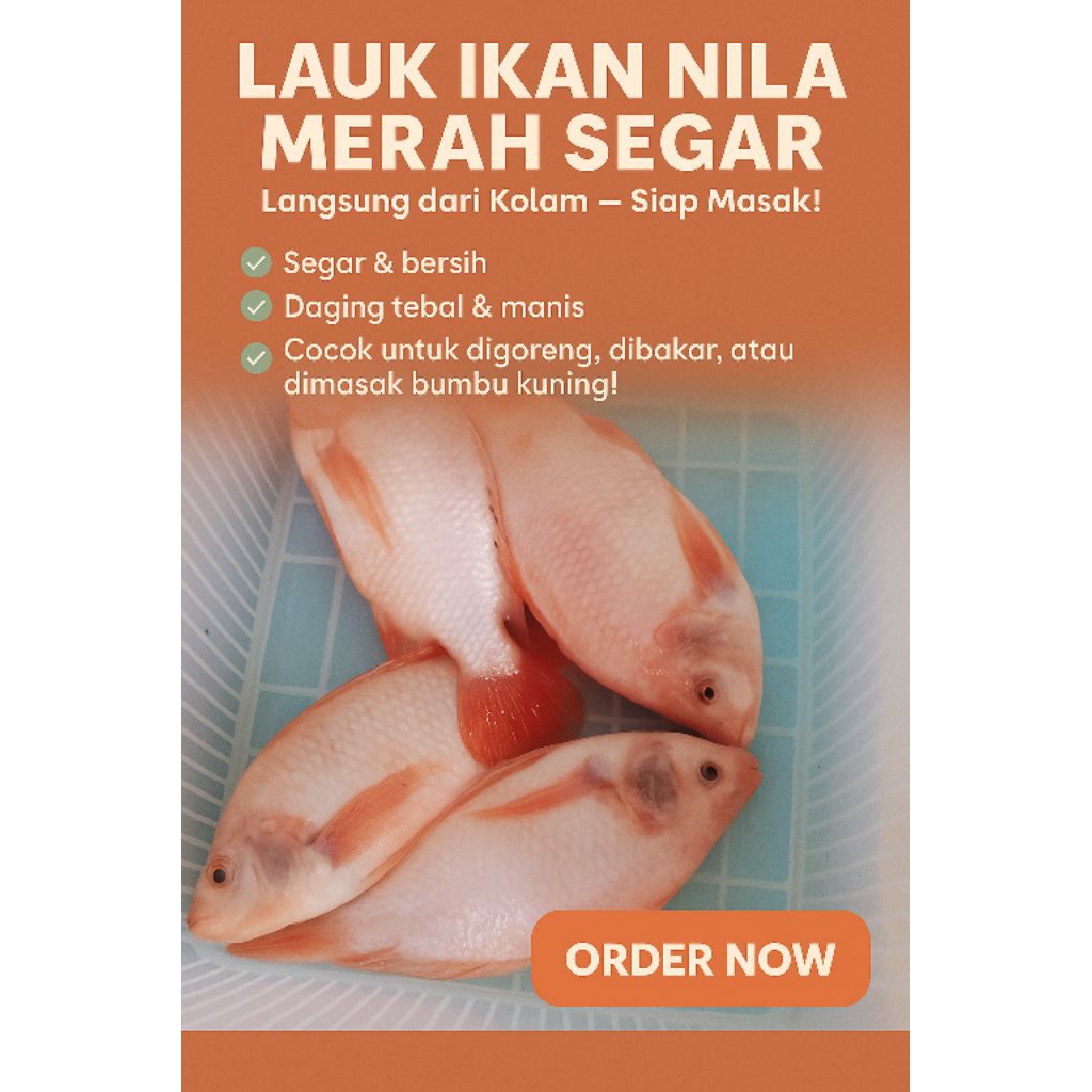 

ikan nila merah bumbu kuning frozen siap goreng