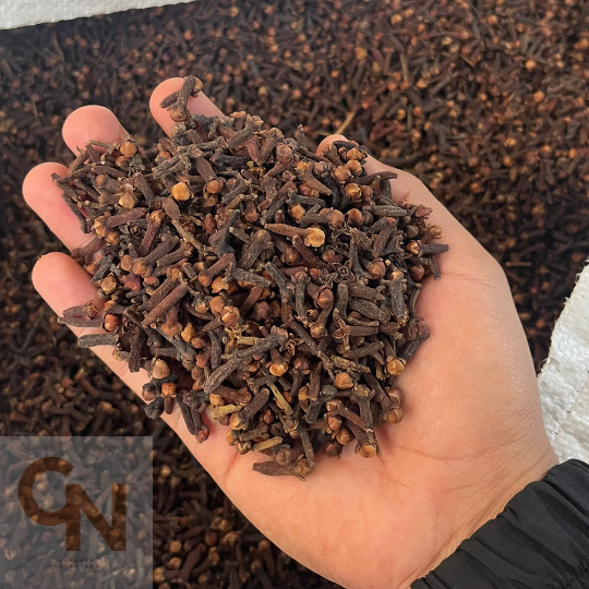 

CENGKEH KERING 1KG MURAH / Cengkeh 1 kg