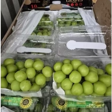 

Anggur hijau shine Muscat pack 500 gr