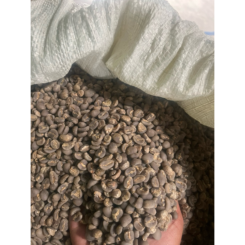 

Arabika Gayo Semiwash 10kg