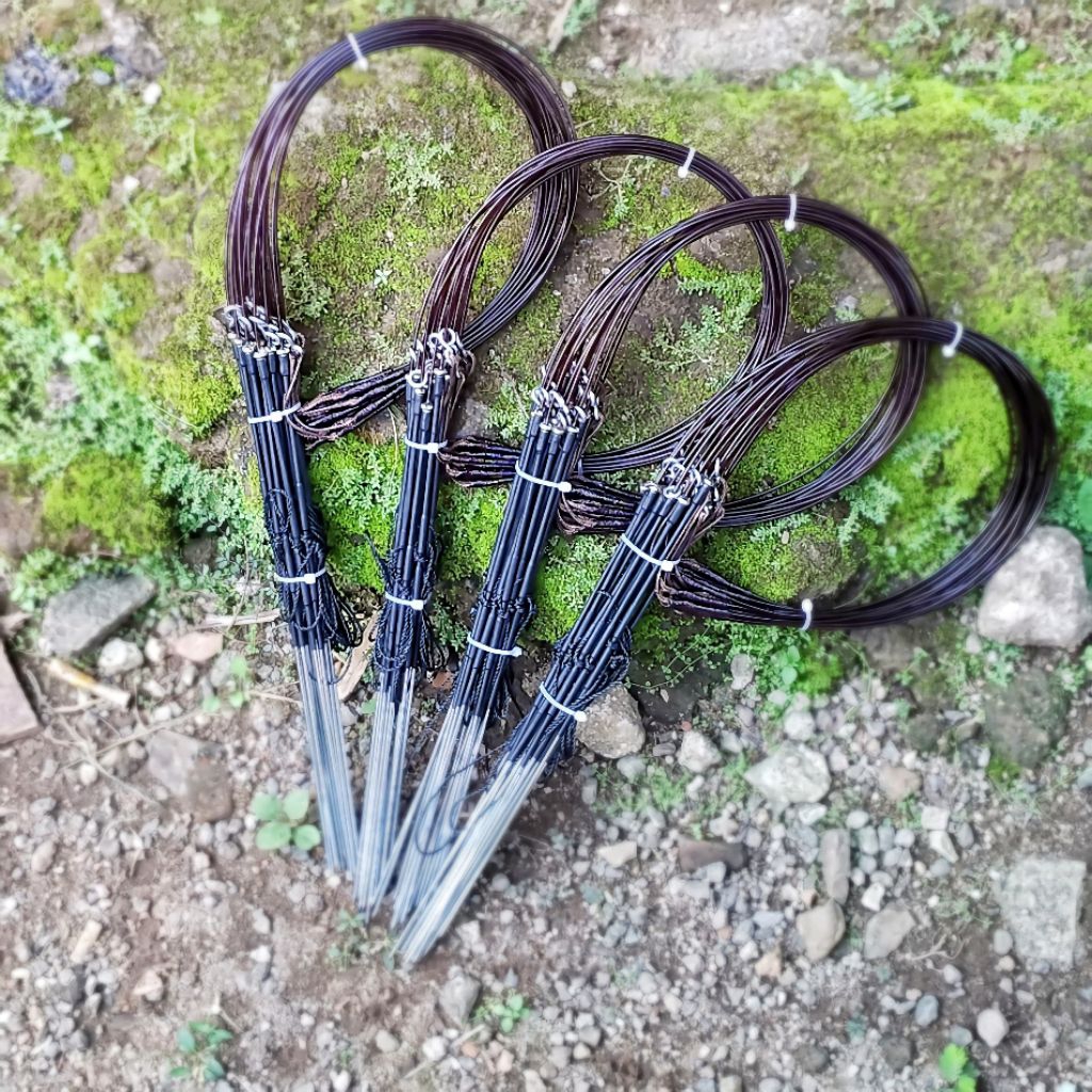 Jerat ayam hutan Racik tarung 1 ikat isi 25 tiang model tancap