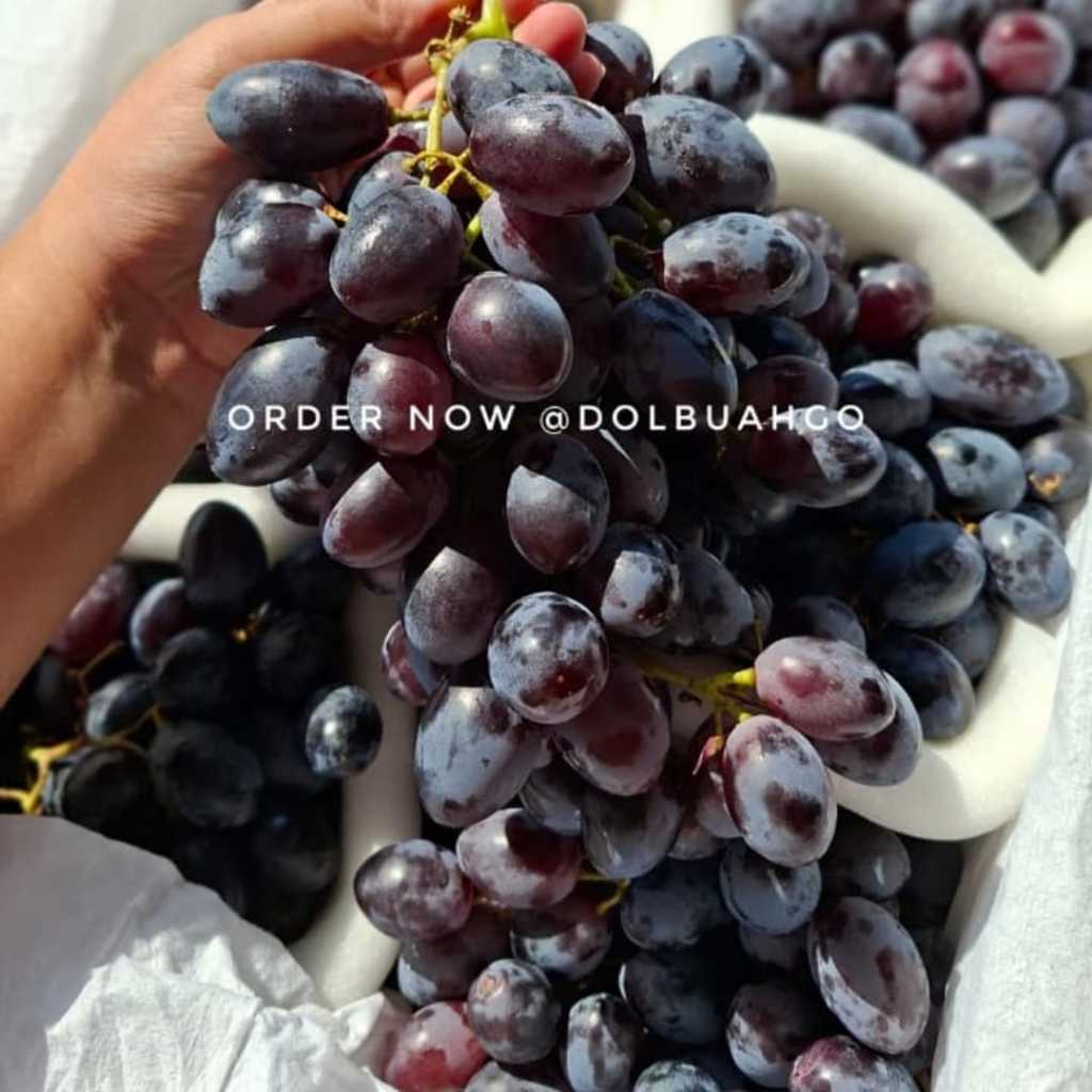 

Anggur Hitam Black Summer Autumn Royal Manis Buah Import Fresh Murah - Dolbuahgo