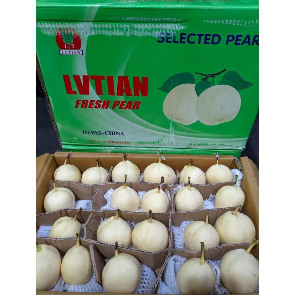 

PEAR SULI 96 / PENGGANTI YALI FRESH PEAR