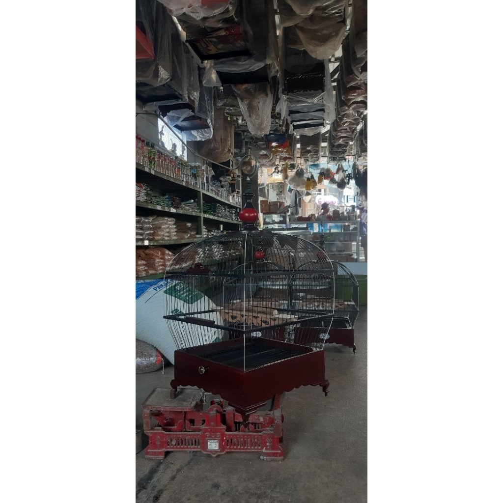 sangkar burung PUTER PELUNG,DERKUKU