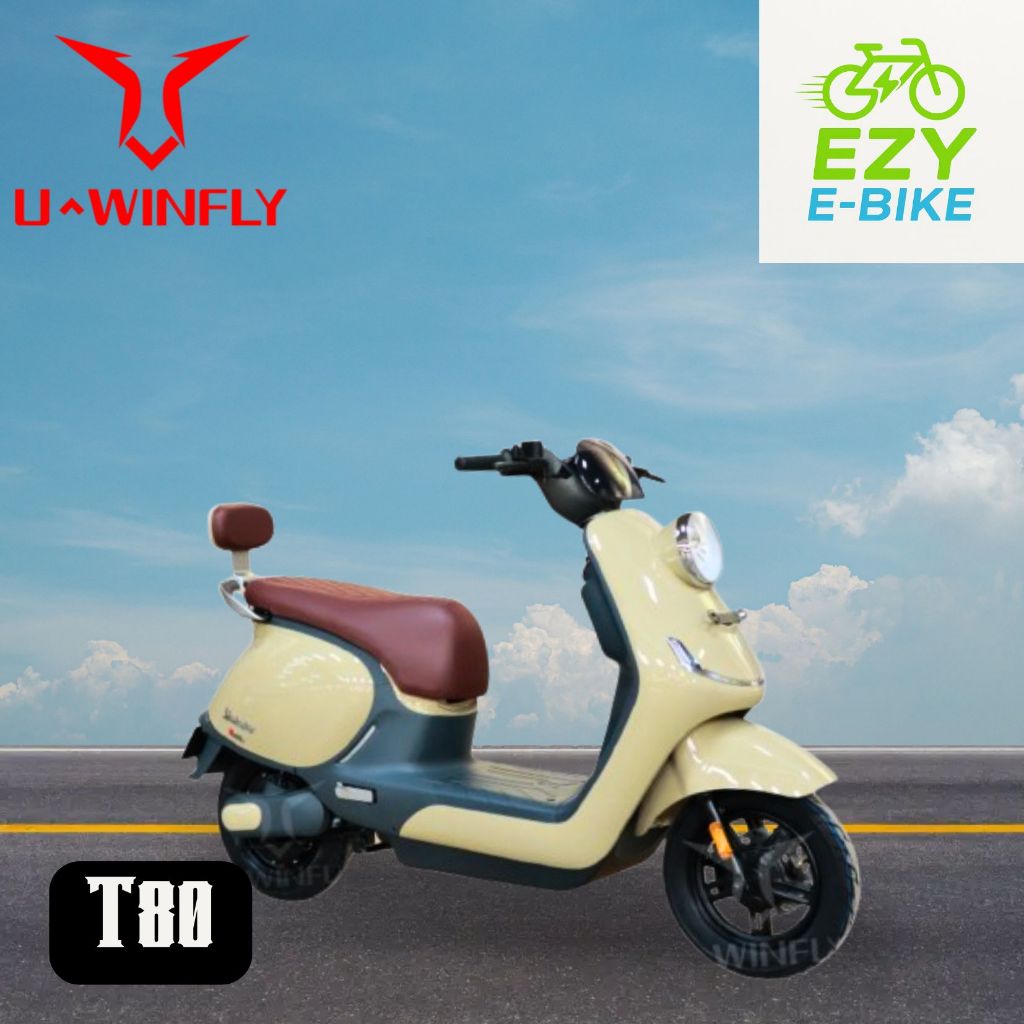 Motor Listrik U-Winfly T80