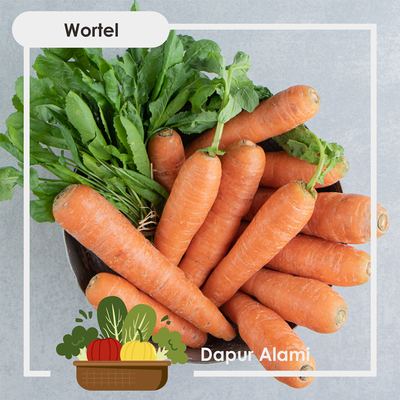 

Wortel Segar per 500 Gram - Sayur Jogja