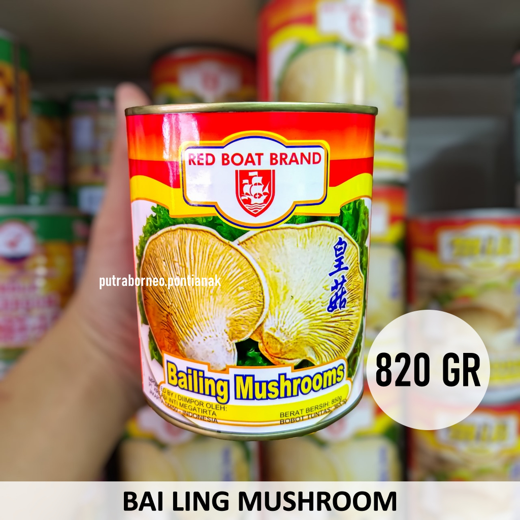 

Jamur Tiram 825gr / Bailing Mushroom / Jamur Kaleng