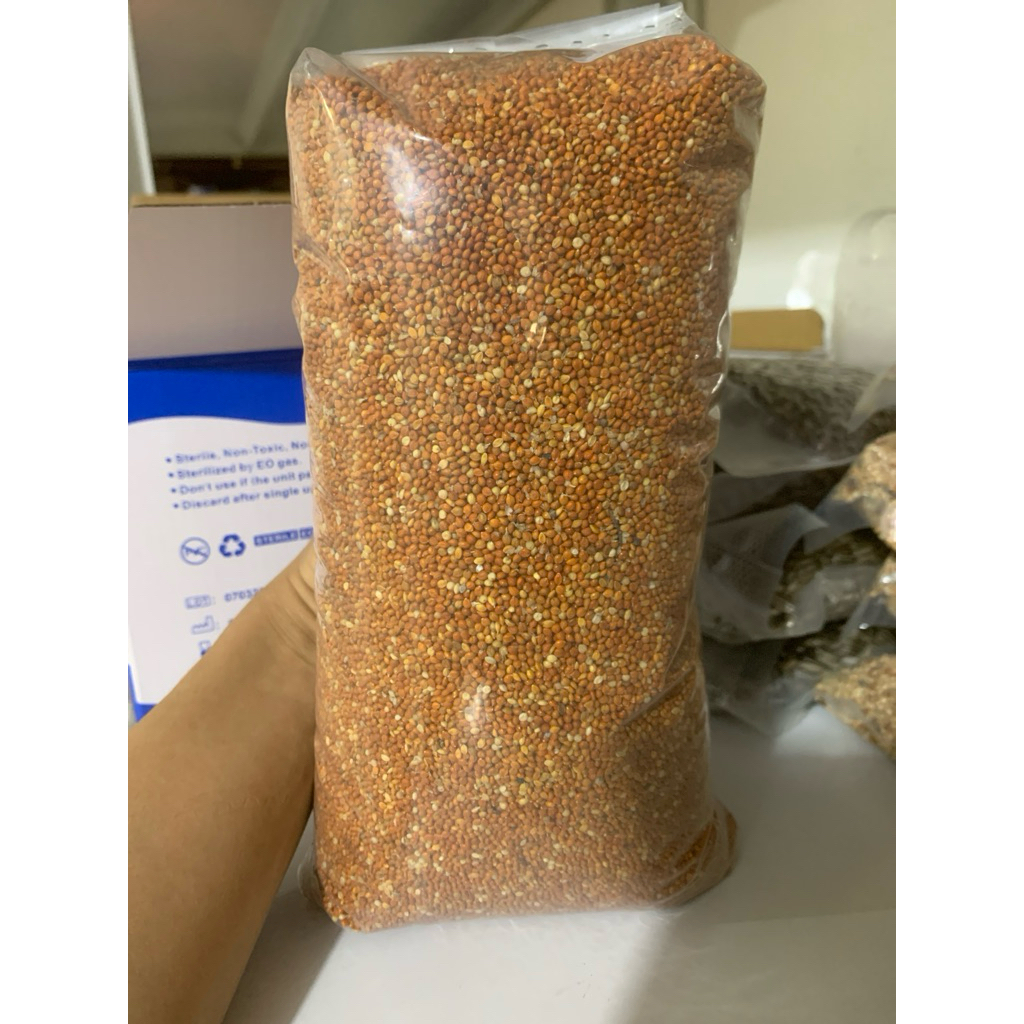 Pakan Burung Biji Jewawut Otek Juwawut 1kg