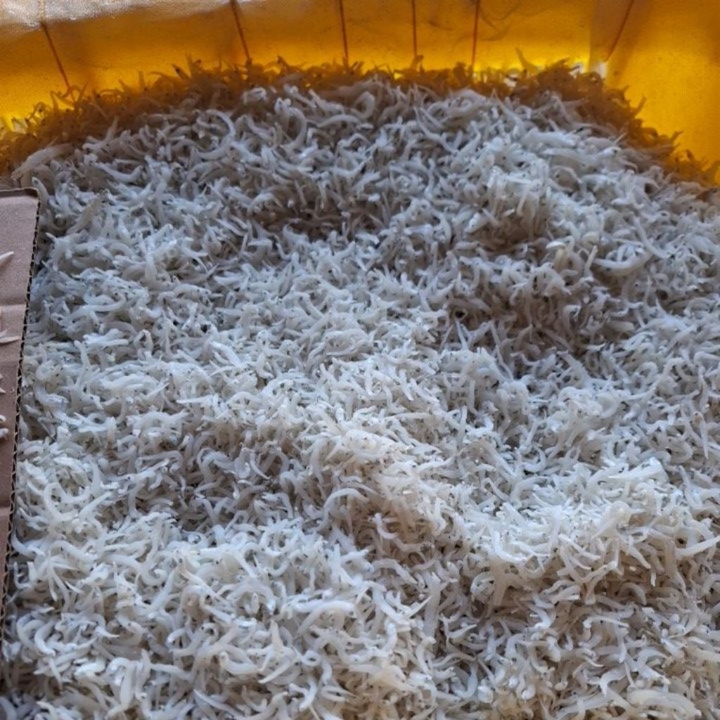 

teri nasi medan putih super