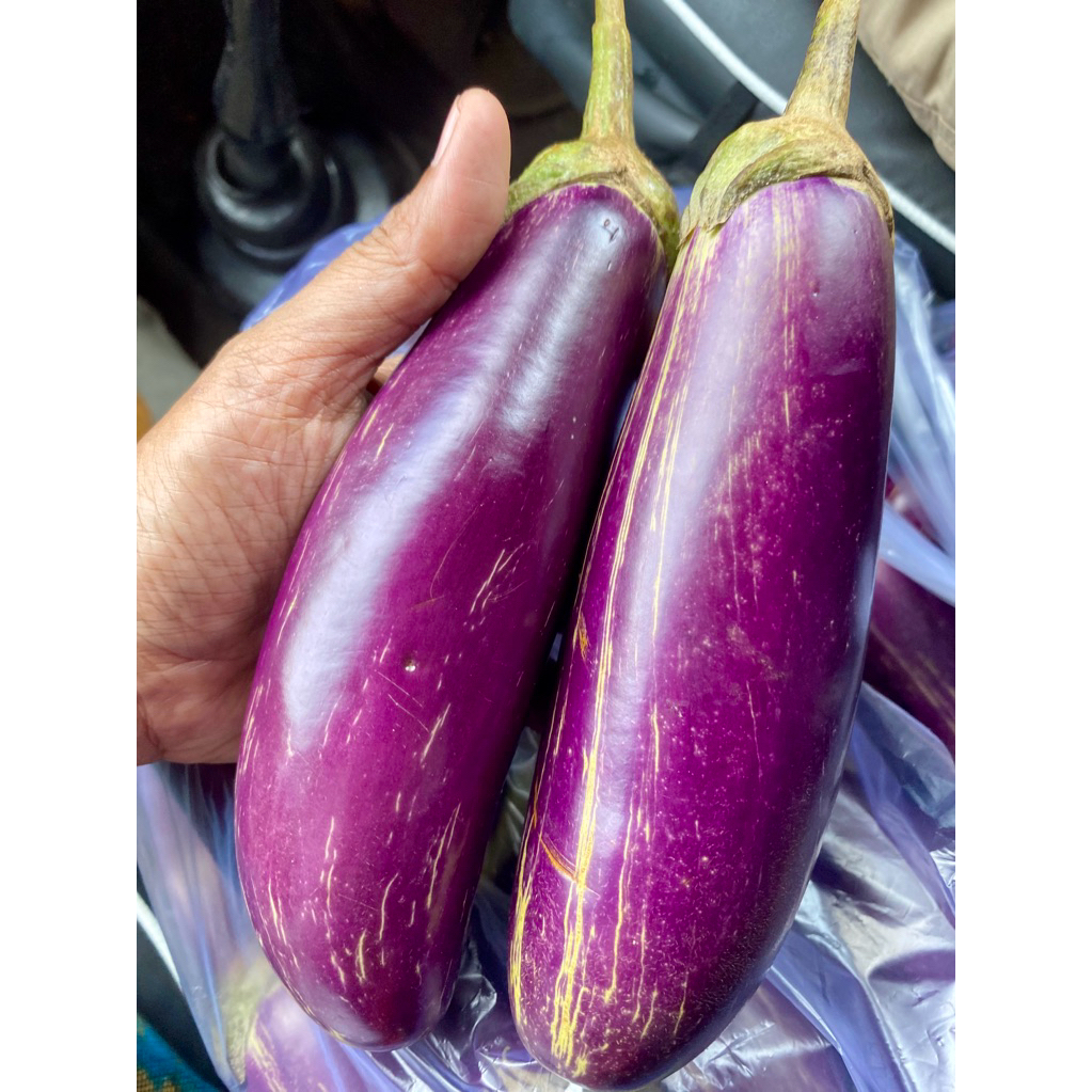 

terong ungu segar super 1kg