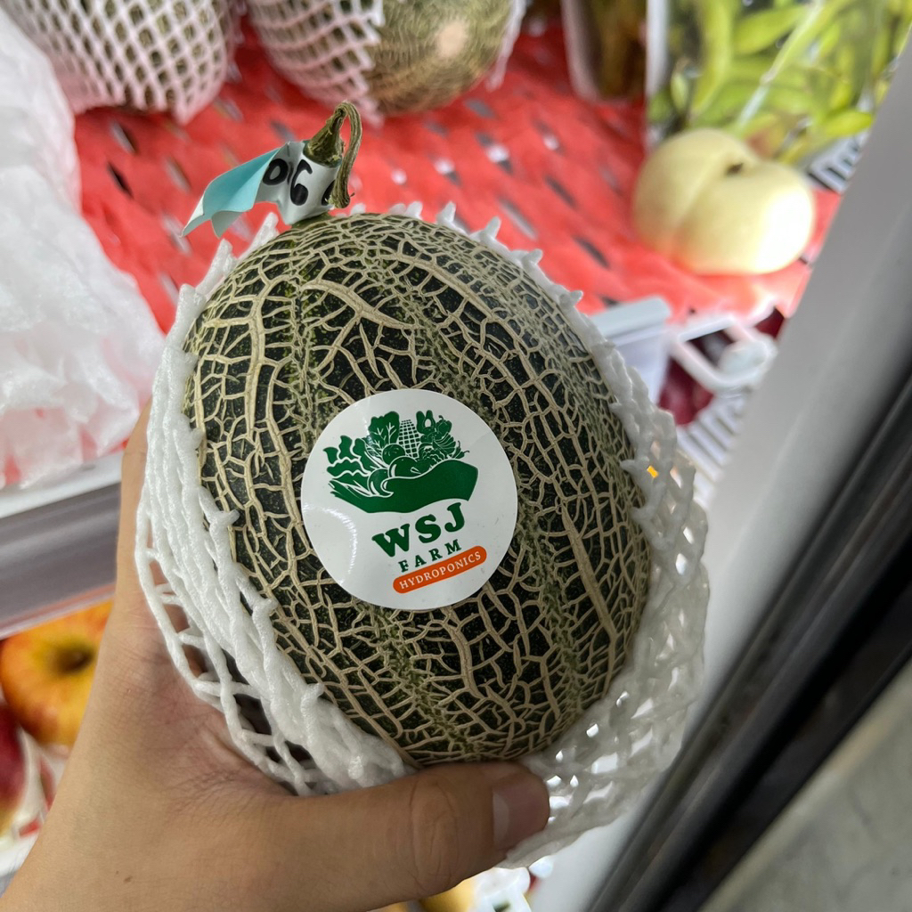 

MELON MARS ORGANIK BUAH MELON