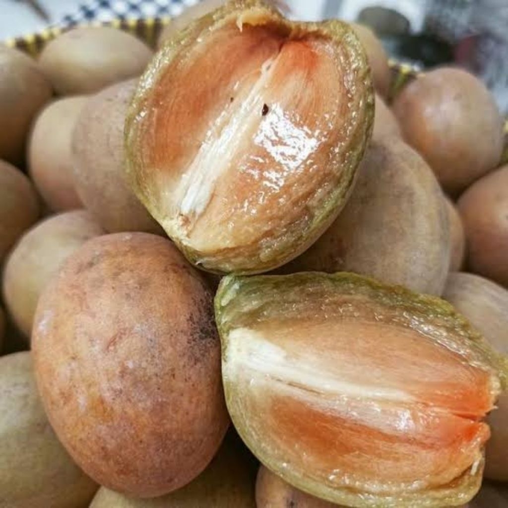 

Sawo Madu Asli Pangandaran – 1kg dari Kebun