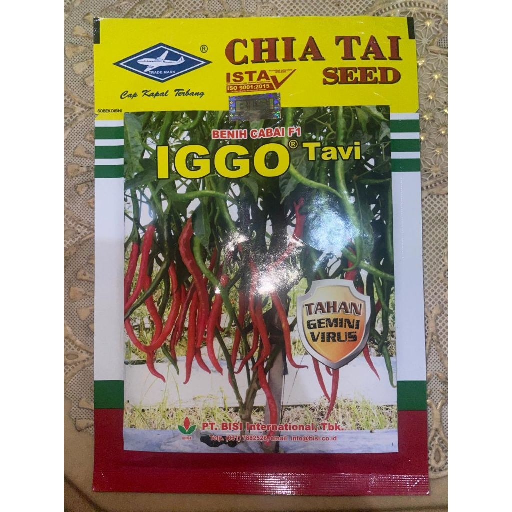 Benih Bibita Cabai Iggo Tavi F1