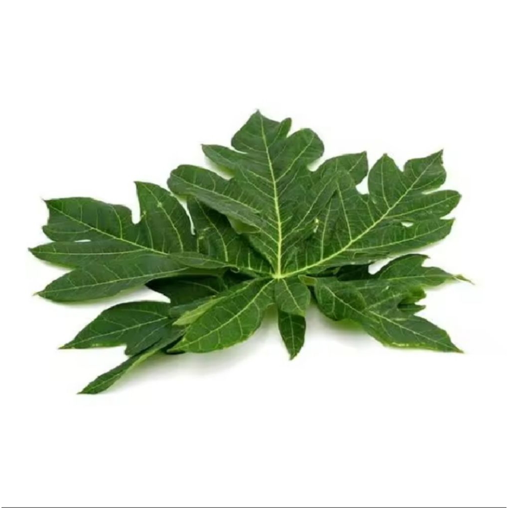 

Daun pepaya/500gram