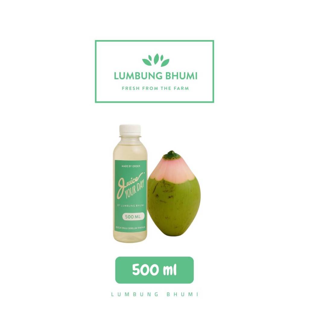 

Air Kelapa Hijau Ijo 500 ml 1 Pcs - Lumbung Bhumi