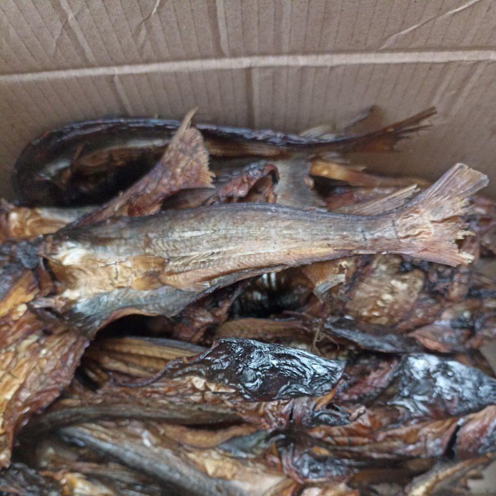 

ikan asap Salai juaro Dari riau