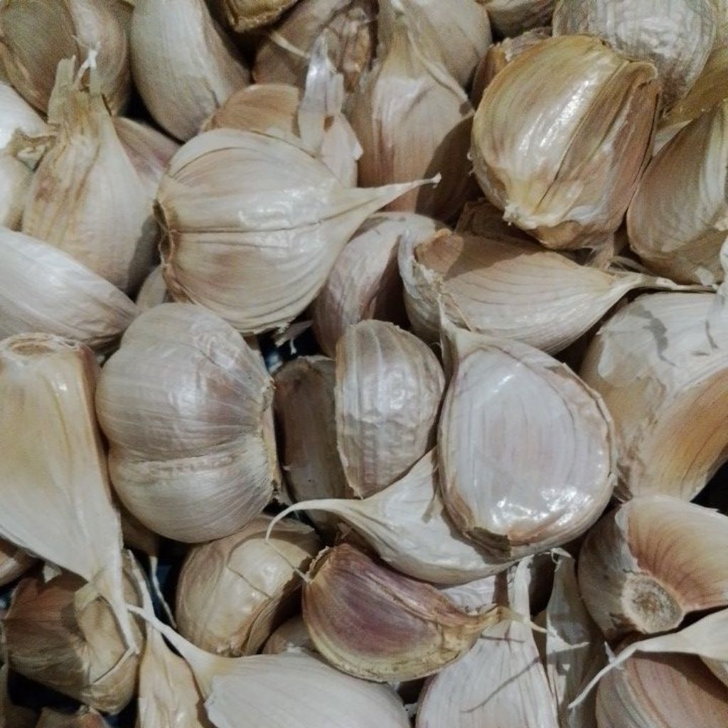 

Bawang Putih Kating Pilihan 1 kg