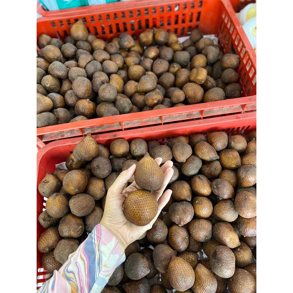 

950-1kg buah salak pondoh sleman asli manis