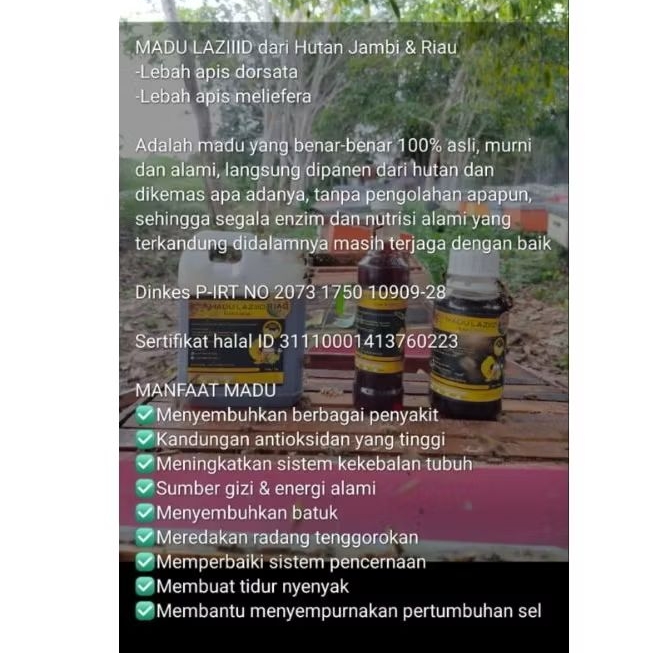 

600gr Madu murni dari Hutan Akasia crassicarpa Jambi, murni 100% tanpa proses dan campuran apapun (Raw honey)