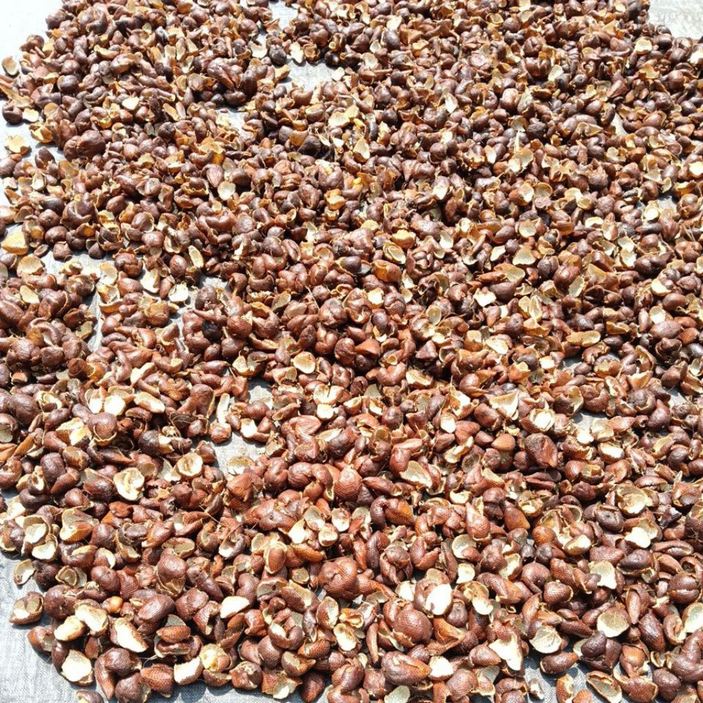 

kulit salak pondoh 1000gr