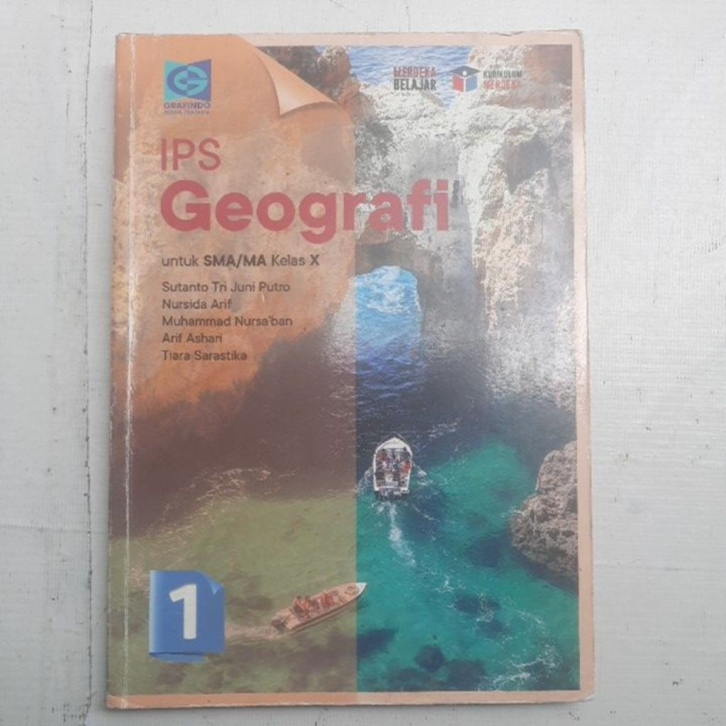 buku kelas 10 ips geografi