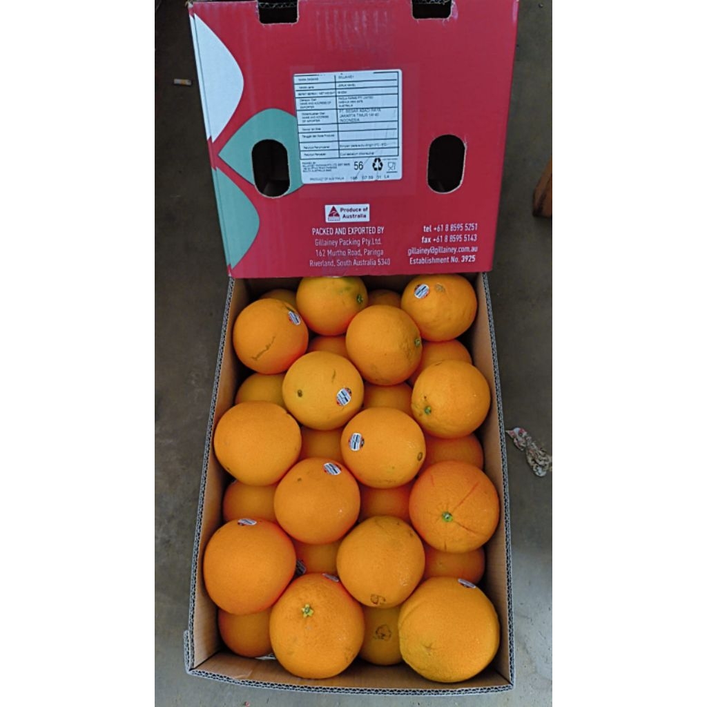 

Juragan Buah Jeruk Navel Import 1 Kg