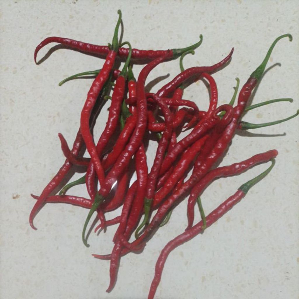 

Cabai Merah Besar 500 gram