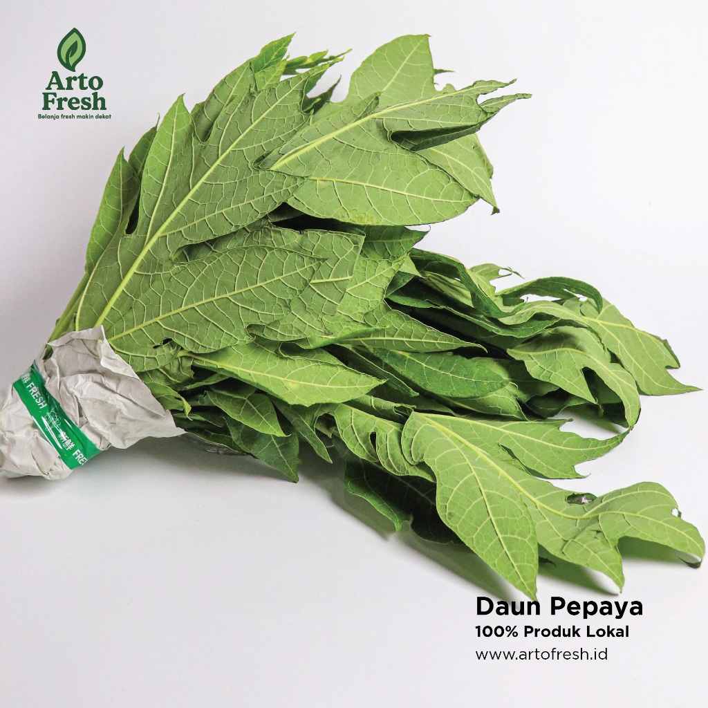 

Daun Pepaya segar, Artofresh Per Ikat 250 Gram