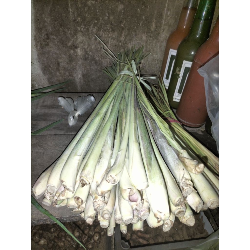 

KIRIM INSTAN I Serai 1 Ikat